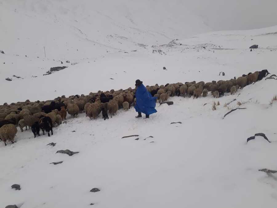 Senamhi pronostica posibles nevadas en las cordilleras