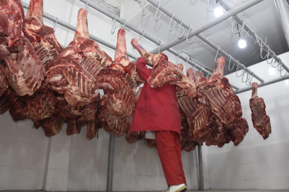 Bolivia cuenta con un saldo exportable de 35.000 toneladas de carne