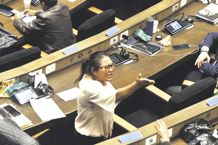 Legisladora discute en plena sesión de la Cámara de Diputados