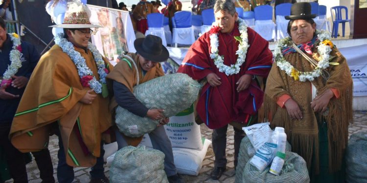 Presidente Arce entrega insumos agrícolas como fertilizantes y semilla certificada a los productores del departamento de La Paz