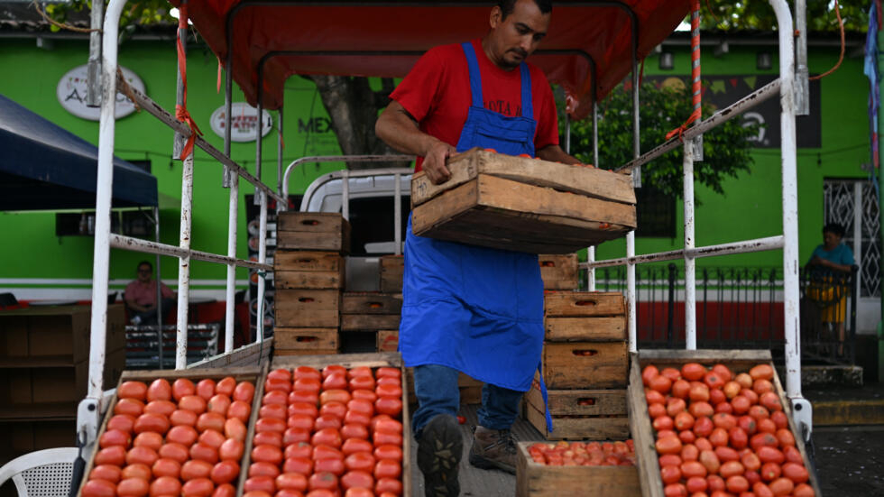 Un vendedor carga cajas de tomates en un agromercado manejado por el gobierno para contener las alzas de precios de los alimentos en el municipio de Quezaltepeque, en El Salvador, el 9 de julio de 2024
