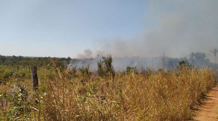 Quemas ilegales ocasionaron incendios forestales