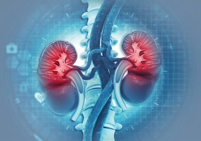 Efectos de la semaglutida sobre la enfermedad renal crónica - Noticias médicas - IntraMed