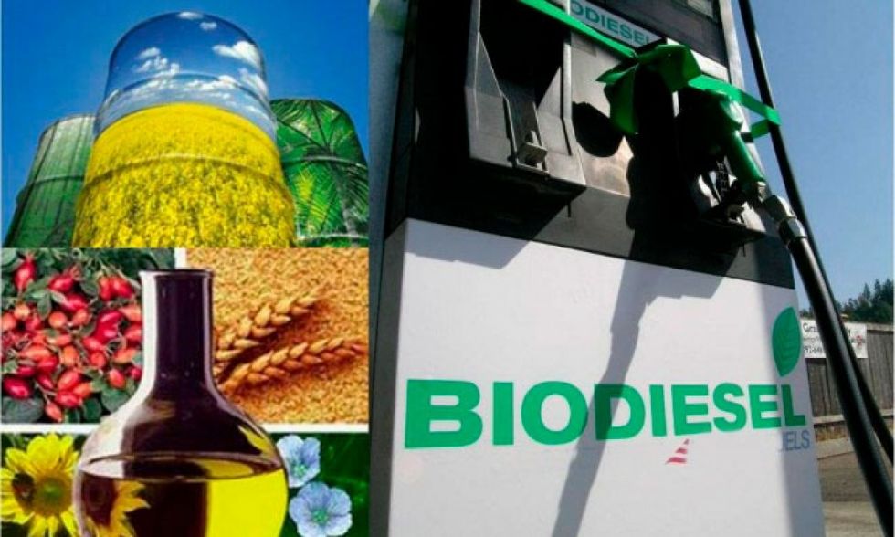 Segunda planta de biodiésel será inaugurada en diciembre