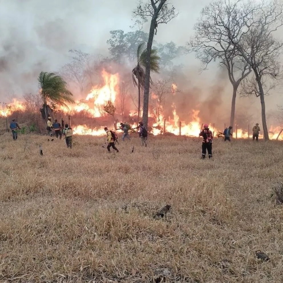 Un incendio forestal en el departamento de Santa Cruz. Foto: Gobernación de Santa Cruz