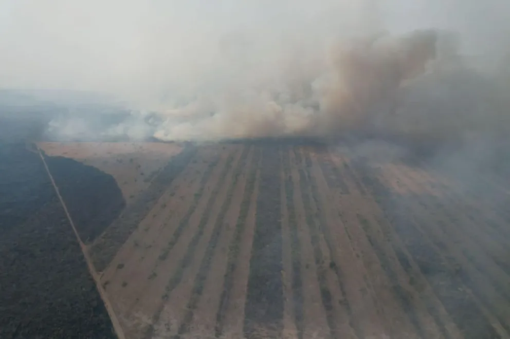 El fuego en Santa Ana de Velasco, en Santa Cruz. Foto: Maggy Talavera