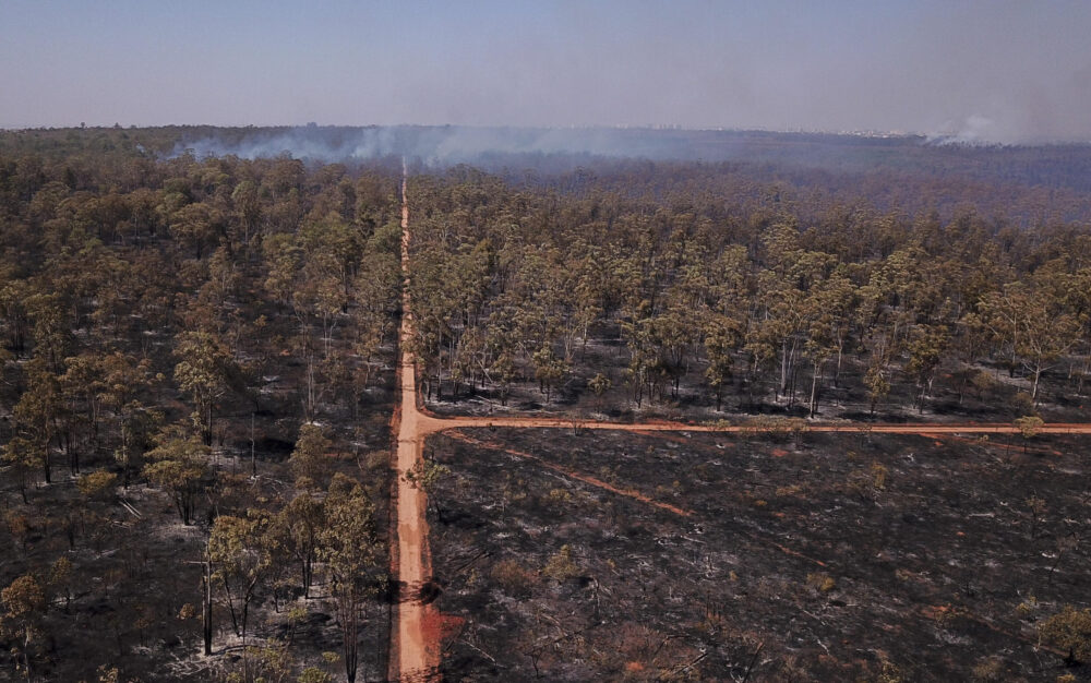 Vista aérea que muestra las zonas afectadas por los incendios en la Floresta Nacional de Brasilia, en la región del Distrito Federal de Brasil, el 4 de septiembre de 2024.