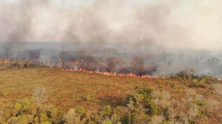 Incendios de magnitud afectan tres reservas en Santa Cruz y Beni | Los Tiempos