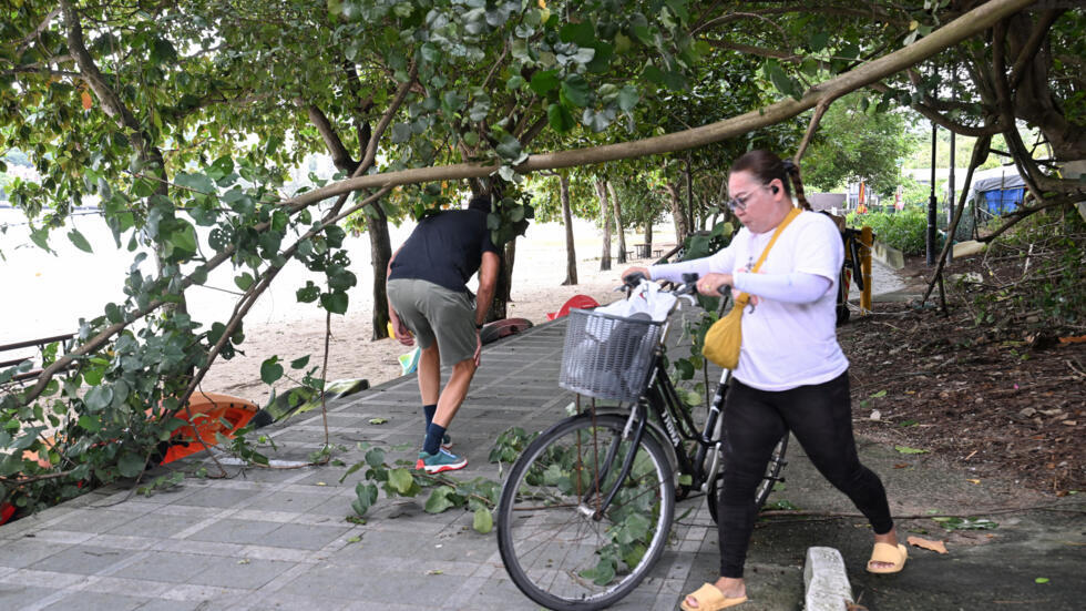 Unos viandantes sortean la rama de un árbol caído junto a una playa en la isla de Lantau, en Hong Kong, el 6 de septiembre de 2024, tras el paso sin consecuencias del tifón Yagi cerca de la ciudad china