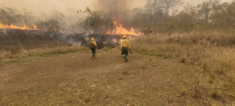 Expertos y brigadistas de Brasil y Chile llegarán a Bolivia para reforzar la lucha contra los incendios forestales