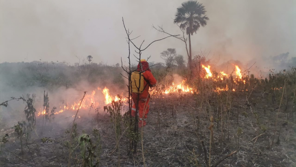 EDUCACIÓN INSTRUYE MODALIDAD A DISTANCIA DEBIDO A EMERGENCIA SANITARIA POR CONTAMINACIÓN AMBIENTAL