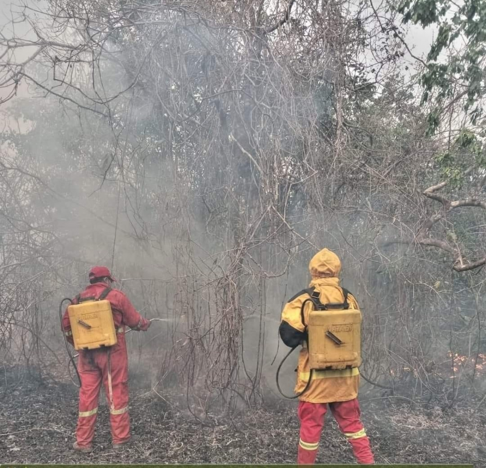 64 procesos penales activados por quemas ilegales mientras la contaminación ahoga al oriente