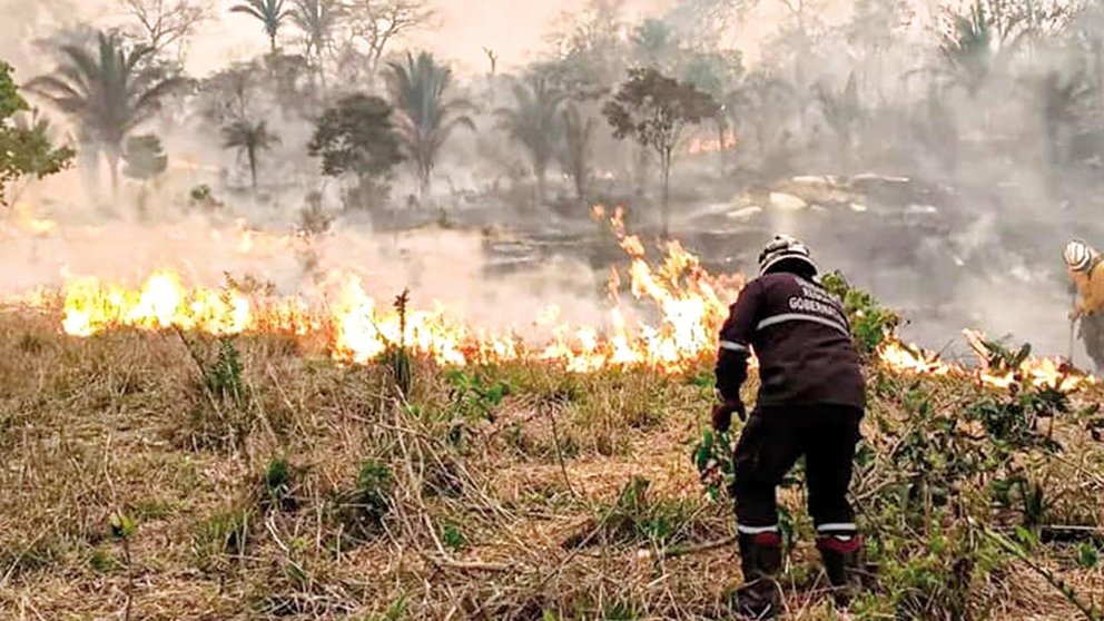 El fuego implacable arrasa con las áreas verdes de Santa Cruz. /  RRSS