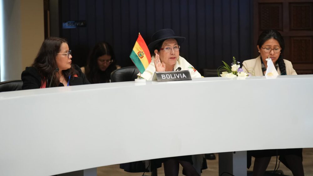 Bolivia logra incorporar la atención de incendios en Declaración de la Comunidad Andina