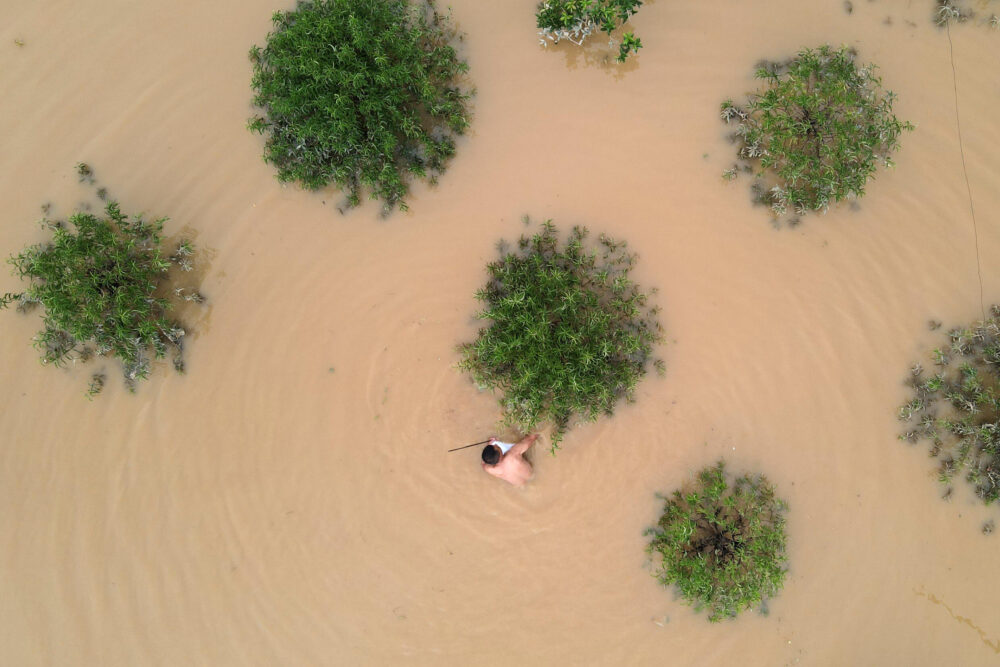 Vista aérea de una plantación de árboles de flores de melocotón inundada, en el norte de Vietnam, el 12 de septiembre de 2024