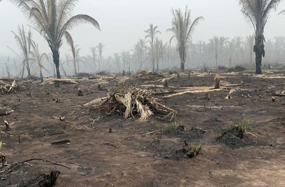 Incendios forestales agravan la crisis en el Chaco y la Amazonía