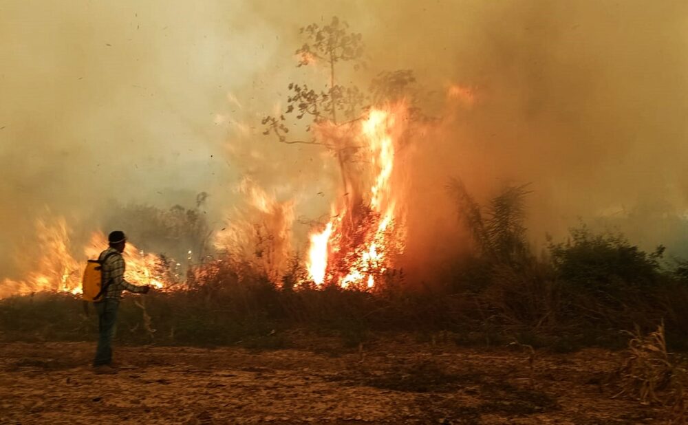 Gobierno declara pausa ambiental y presenta proyecto de ley que amplía sanción por incendios - La Razón