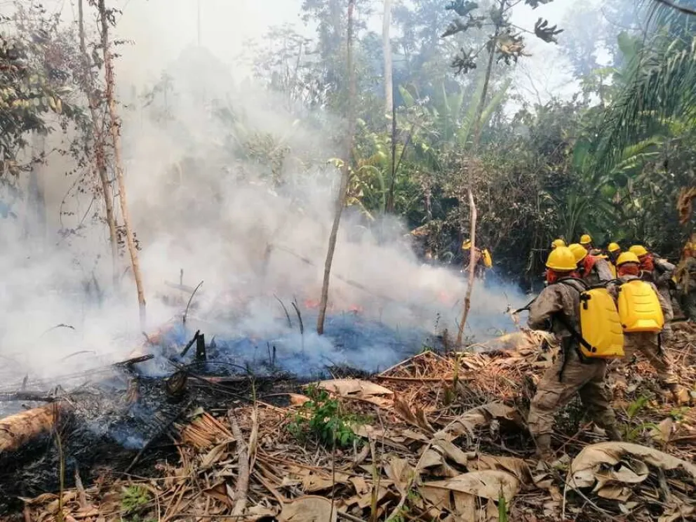 Bomberos intentan apagar el fuego en una maleza en el oriente. Foto ABI