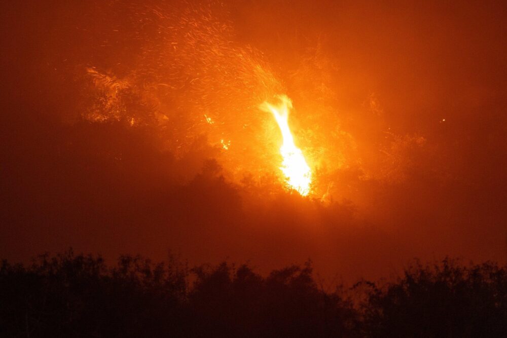 Incendio en la Reserva Biológica de Nova Iguacu, estado de Río de Janeiro, Brasil, el 13 de septiembre de 2024.