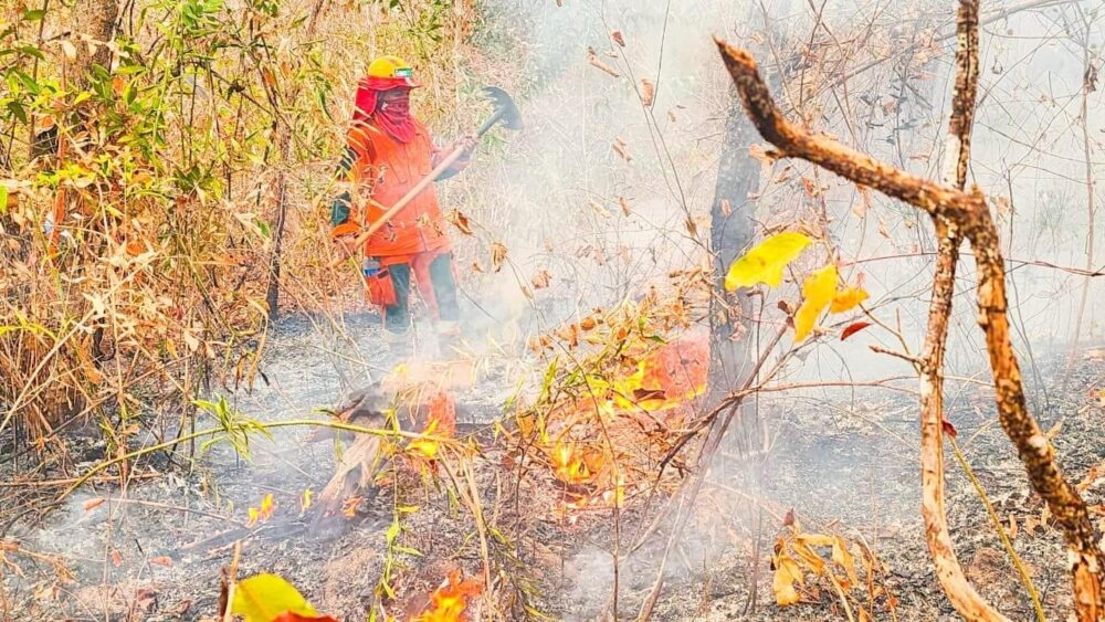 Se espera llegada de avión canadiense y 200 “Cajas Guardián” para combatir incendios forestales