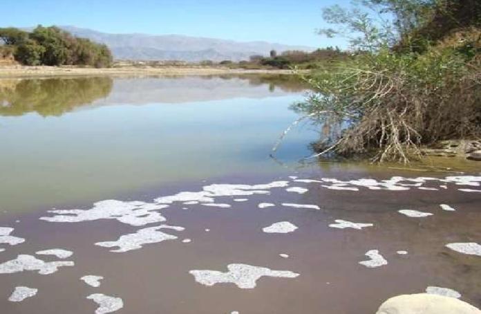 La contaminación del Guadalquivir continúa inalterable.