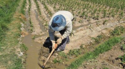 Una auditoría ambiental reveló la mala calidad del agua y acciones poco efectivas de las instituciones