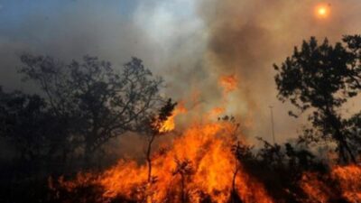 REPAM y CEAMA expresan su preocupación por la devastación de la Amazonía ante incendios y sequías