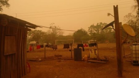 Legisladoras exigen al Gobierno develar la cantidad de hectáreas quemadas en el desastre ambiental