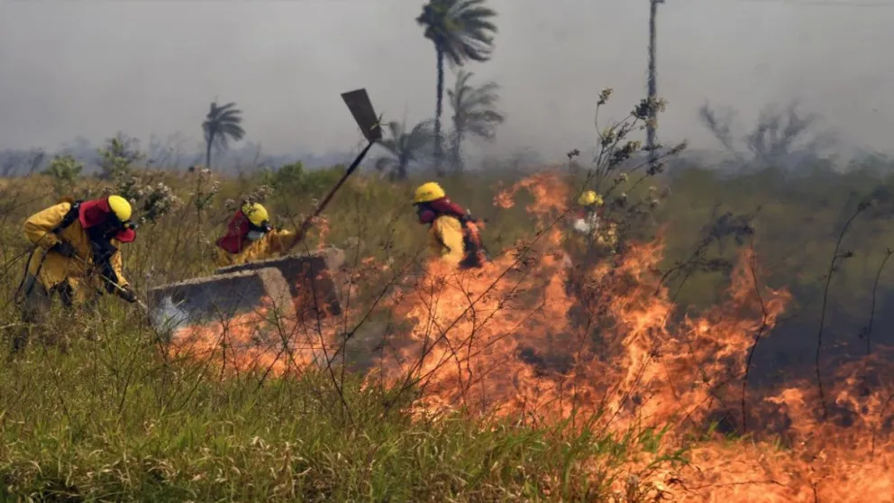 Bomberos voluntarios luchan contra las llamas en incendios forestales en Santa Cruz. Foto: GADSC