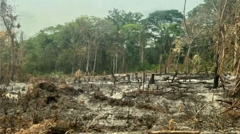 Aprehenden a ocho personas por incendios forestales y avasallamiento en Guarayos | Los Tiempos