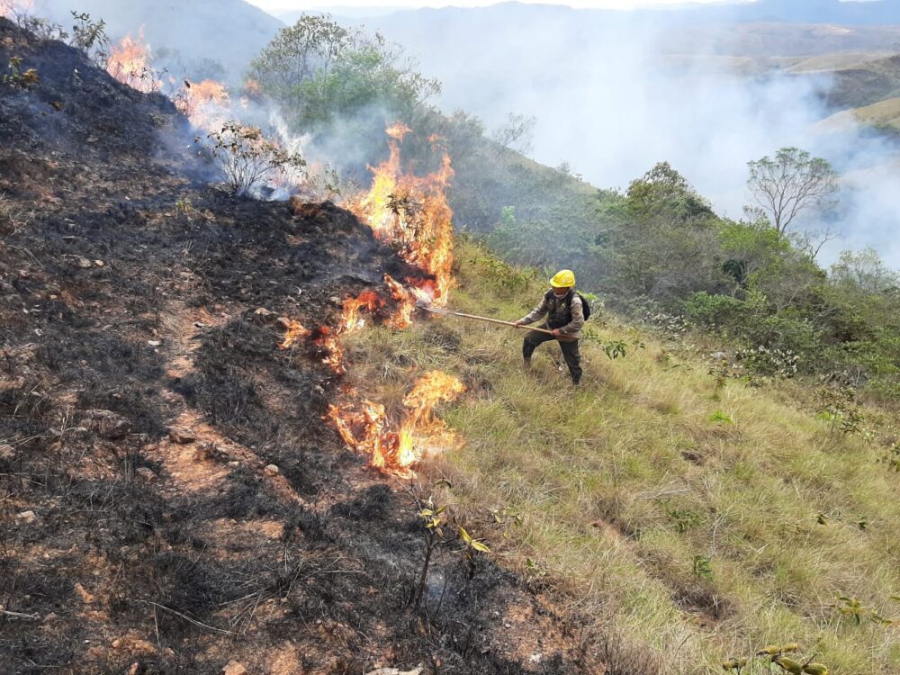 Incendios forestales en Bolivia reducen este año de 100 mil a 11 mil hectáreas – Ministerio de Medio Ambiente y Agua