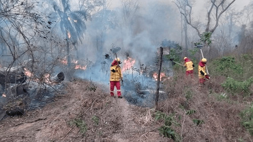 Rek exige plan post incendios y sanciones por crímenes medioambientales