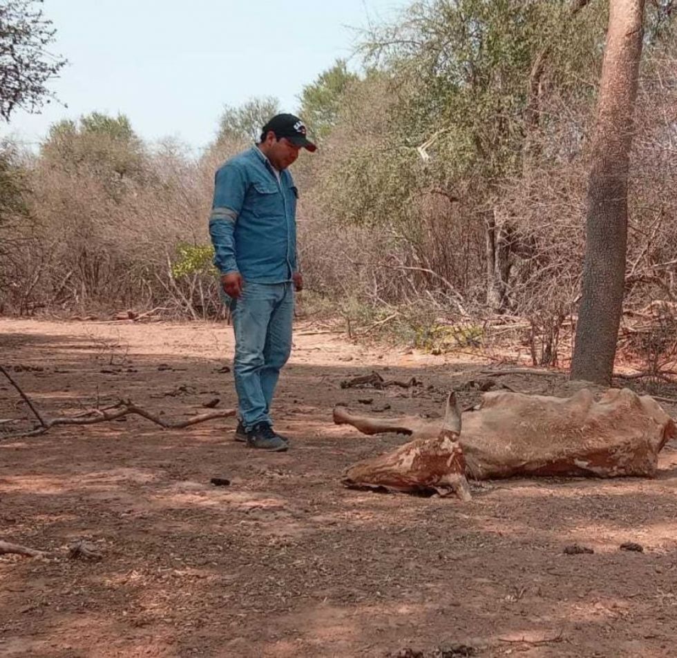 En Villa Montes declaran emergencia por la sequía