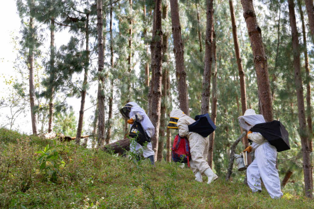 Apicultoras vuelven a casa tras recolectar miel de sus colmenas en Chilal de La Merced, en Perú, el 22 de julio de 2024