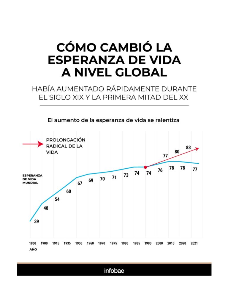 infografia