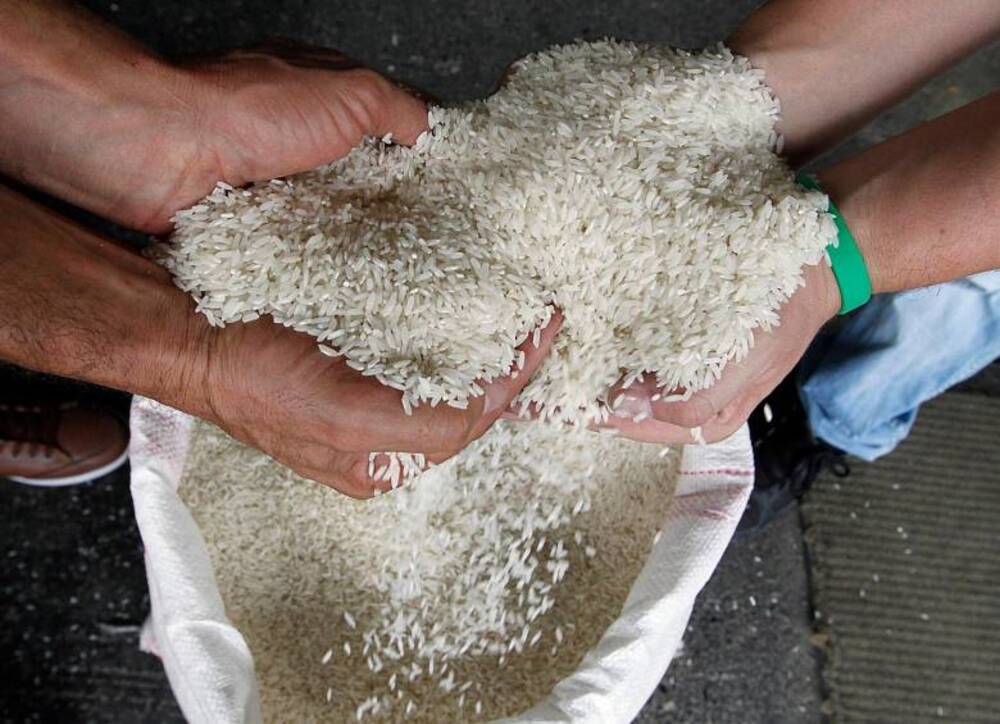 Alrededor del 40% de la producción de arroz en el país fue afectado por la sequía este año