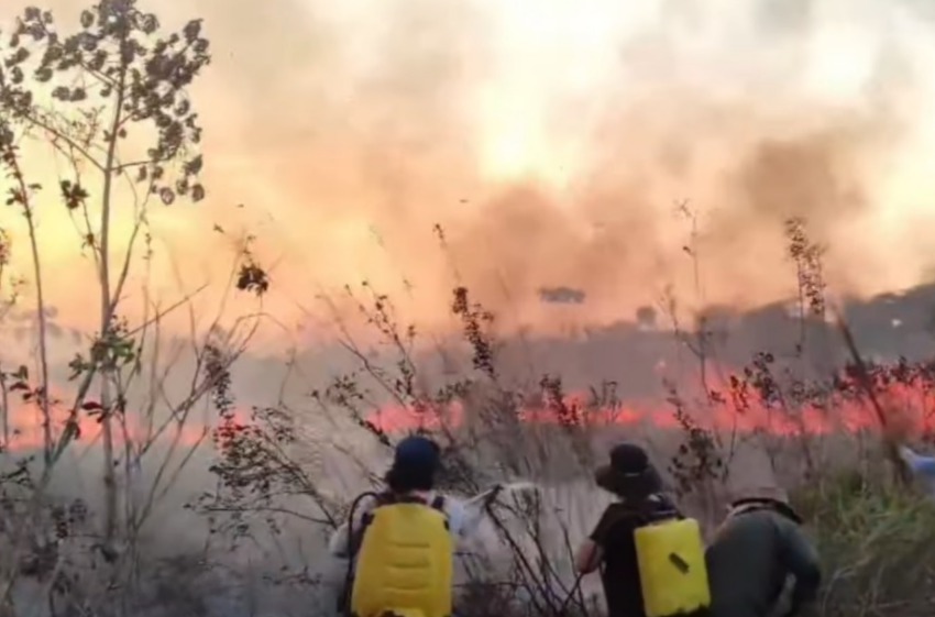 Incendio forestal en Ixiamas empezó en un predio privado y arrasa con más de 50 hectáreas de producción