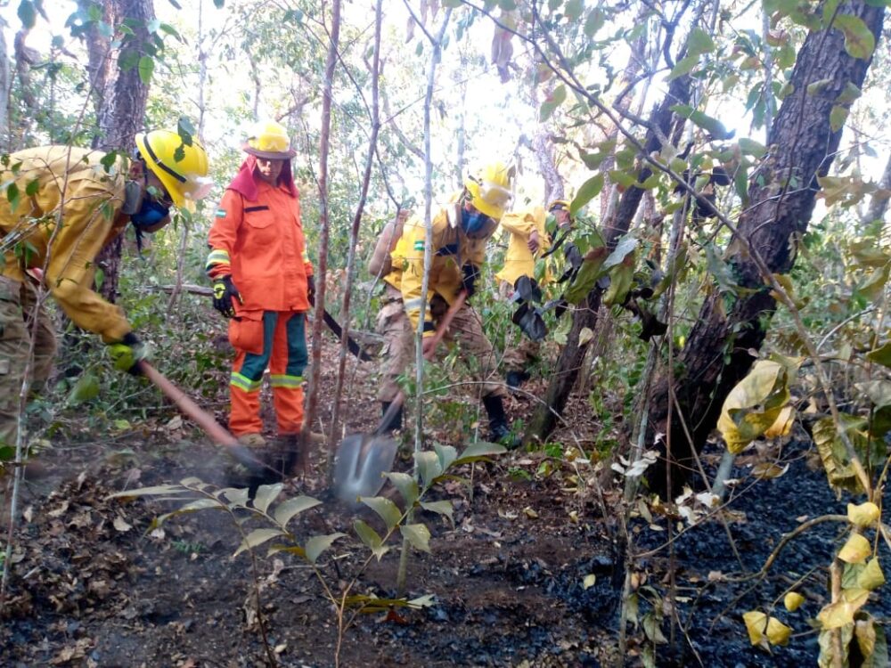 Confirman que el 90% de los incendios en Santa Cruz están “completamente liquidados”