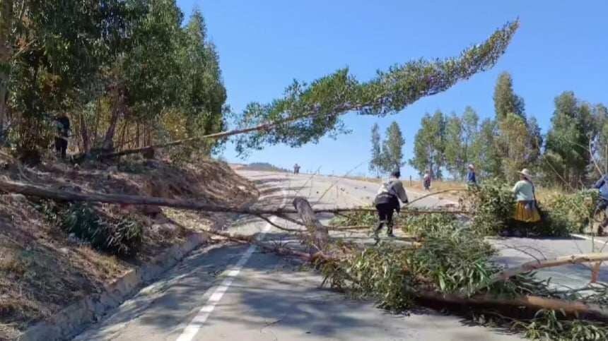 Bloqueadores "evistas" se dan a la tarea de talar árboles en Tiraque. CAPTURA RKC