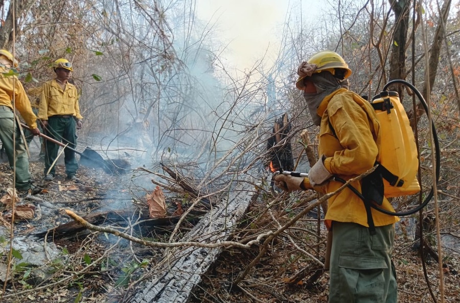 Reportan seis incendios activos en cuatro departamentos