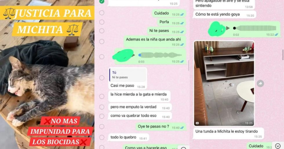 La conversación de WhatsApp que se viralizó en internet.  