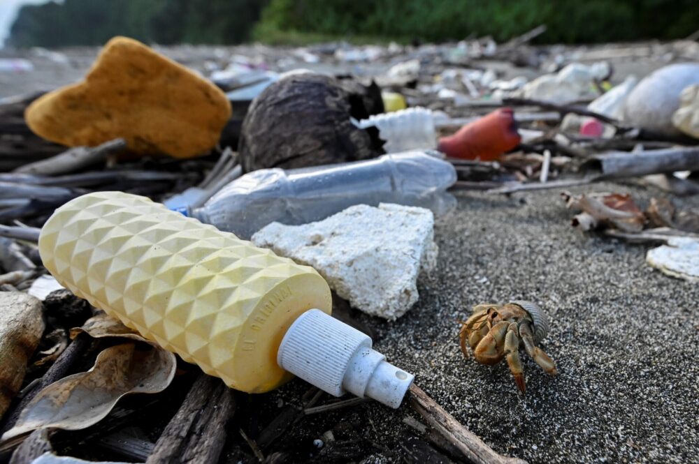 Un cangrejo ermitaño avanza por una playa repleta de desechos plásticos en la isla colombiana de Gorgonilla, en el océano Pacífico, el 1 de diciembre de 2021 frente a la costa suroeste de Colombia