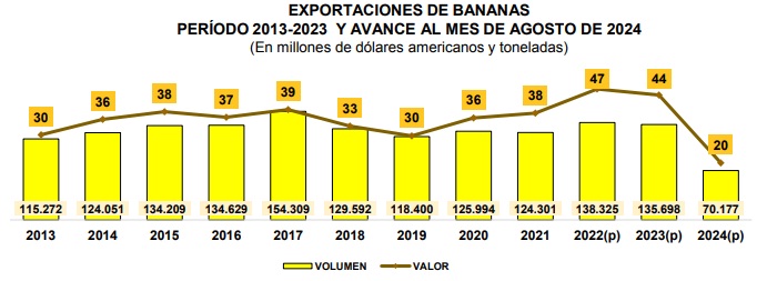 Exportaciones de banana suman $us 409 millones en 10 años, pero a agosto de 2024 caen en 30%