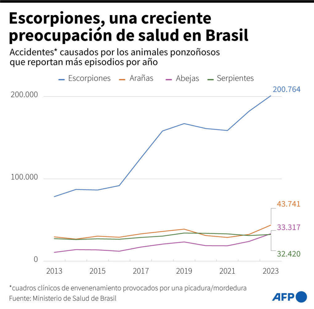 Escorpiones, una creciente preocupación de salud en Brasil