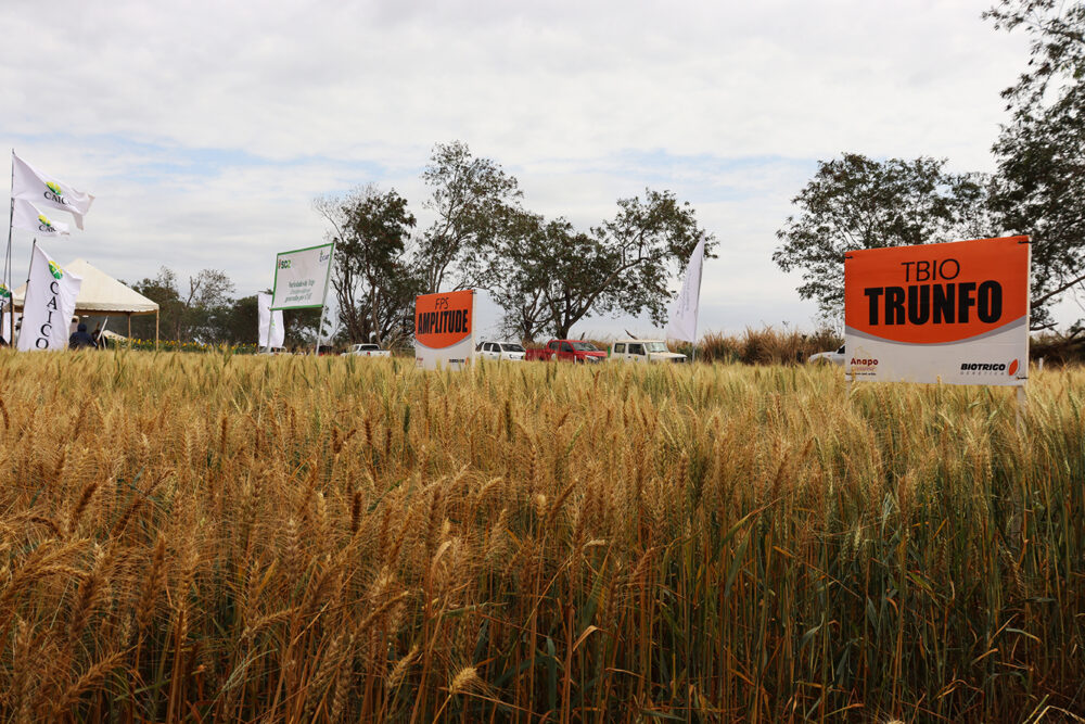 ABI - Santa Cruz batió récord en producción de alimentos con 16,4 millones  de toneladas en 2021