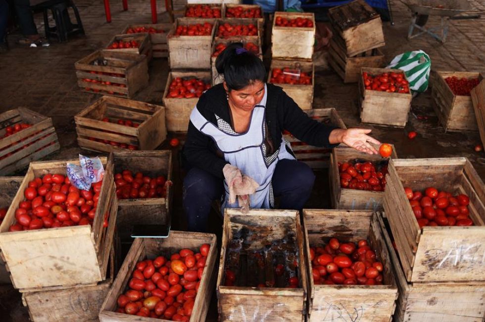 Una mujer muestra sus productos dañados por la falta de transporte durante los bloqueos. 