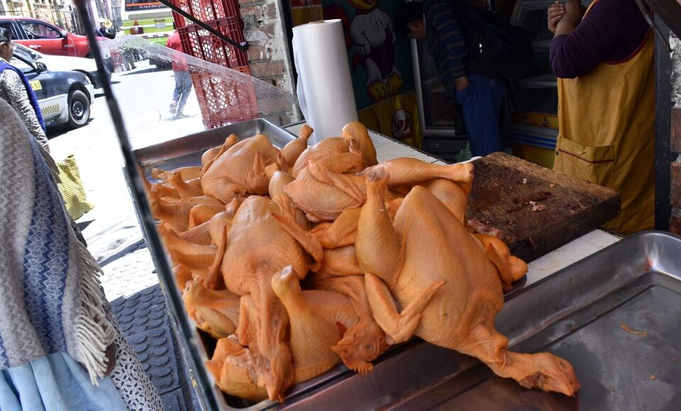 INE asegura que precios de alimentos bajarán gradualmente porque empieza a abastecerse el mercado