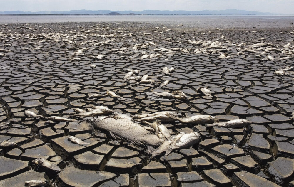 Sequía en la laguna de Bustillos, en el estado mexicano de Chihuahua. Junio de 2024.