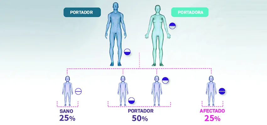 Test de portadores: prevención genética en reproducción asistida