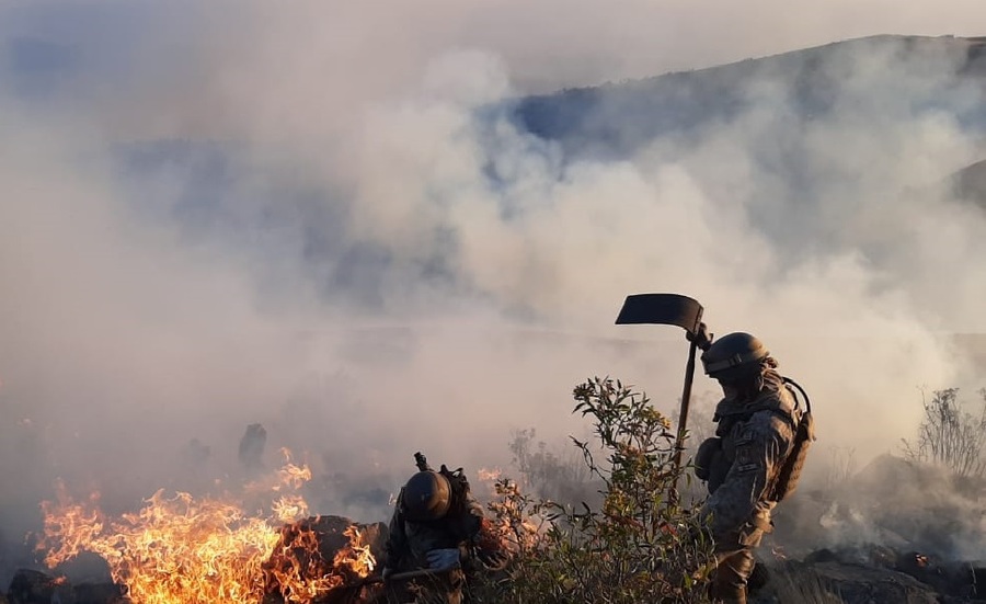 Llega a Bolivia Relator de la CIDH para evaluar impacto de incendios forestales